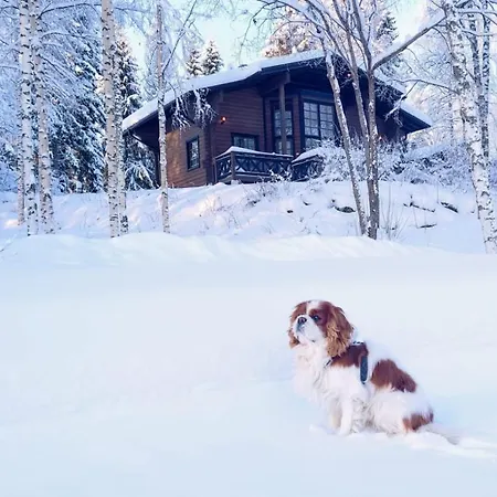 Village Tahko-tours 5* 타흐코부오리