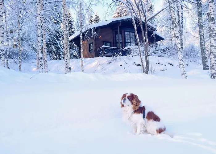 Village Tahko-tours 5* Tahkovuori