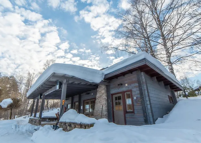 Village Tahko-tours Tahkovuori